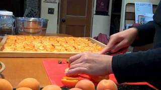 How To Dry Apricots [upl. by Sherye]