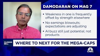 The market is in pause mode on mega caps and saying show me the money says NYUs Aswath Damodaran [upl. by Arikihs]