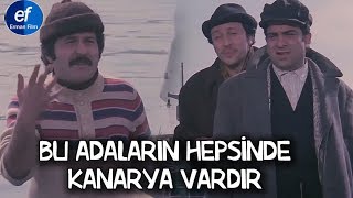 Nereye Bakıyor Bu Adamlar  Kanarya Adasına Nasıl Gidilir [upl. by Airam]