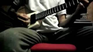 Steinberger GL vs GS [upl. by Htebazie]