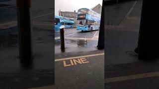 Buses at Newtownards Bus Station [upl. by Brion]