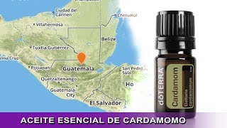 Aceite Esencial de Cardamomo doTERRA  Origen uso y aplicación [upl. by Baumann]