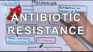 Antibiotic Resistance  Evolution Genetics Microbiology [upl. by Drofxer18]