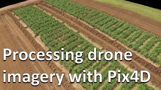 How to process RGB and multispectral drone imagery in Pix4D Drones in agriculture series 27 [upl. by Nadnarb]