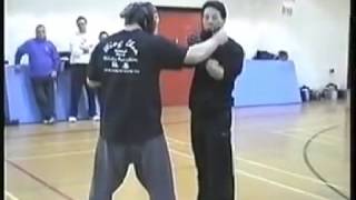 Wing Chun amp Ju Jitsu  Samuel Kwok amp Carlson Gracie [upl. by Iniretake]