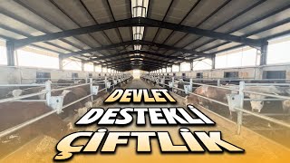 DEVLET DESTEKLİ ÇİFTLİK KURULUMU  DEVLET DESTEKLİ HAYVANCILIK [upl. by Novit]