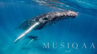 Kamal ⋄ Whale Meditation ⋄ Heartwarming songs of humpback whales [upl. by Gerge]