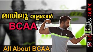 What Are BCAAs And How Do They WorkMalayalam Video  Certified Fitness Trainer Bibin [upl. by Acissaj93]