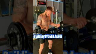 Building Bigger Arms 💪🏼🔥 shorts workout [upl. by Yroffej]