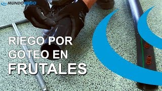 Instalación de Riego por Goteo en frutales [upl. by Plafker]