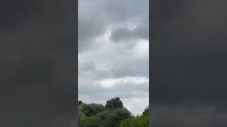 Avro 625A Anson T21 GVROE LOUD ENGINE THUD flying above Crewe 792024 plane anson aircraft [upl. by Marcos624]