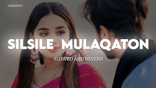 Silsile Mulaqaton Ke Na Slowed and Reverb  UditNarayan amp Alka Yagnik  Bardaasht  KuberEditz [upl. by Nylissej749]