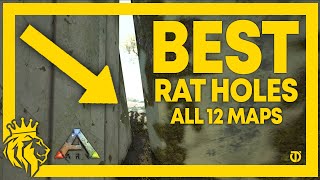 TOP 12 BEST RAT HOLES on All 12 Maps  ARK Survival Evolved [upl. by Mera229]