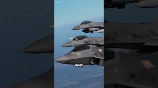 Why Dont American Fighters Jets Have Canards shorts [upl. by Inglebert]