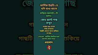 আর্থিক উন্নতি তে বাধা এলে এটি করুন  আর্থিক উন্নতির বাধা কাটানোর উপায় shortsfeed astrology [upl. by Ecidnacal700]