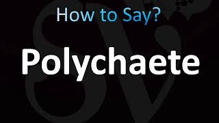 How to Pronounce Polychaete CORRECTLY [upl. by Sorips]