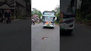 BASURI V4 REMIX WINSPECTOR  QQ TRANS  bus busmania shorts [upl. by Alexandria]