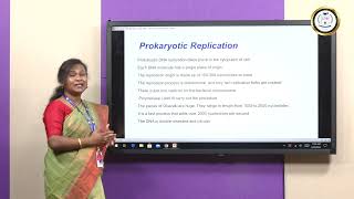 DNA Replication in Prokaryotes vs Eukaryotes  Ms Jesia Persis Preethi N [upl. by Pohsib]