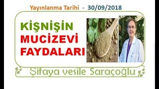 KİŞNİŞİN MUCİZEVİ FAYDALARI  Şifaya vesile Saraçoğlu [upl. by Carrol]