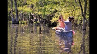 Attacked by a Gar on the Roanoke River  Devils Gut  Jamesville NC [upl. by Pinto]