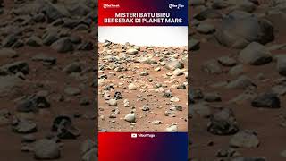 MISTERI BATU BIRU BERSERAK DI PLANET MARSShort Video [upl. by Otanutrof]