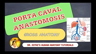 PORTACAVAL ANASTOMOSIS  GROSS ANATOMY  ENGLISHTAMIL [upl. by Attenauqa433]