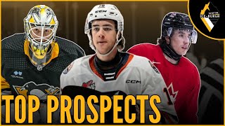 2024 Draft Picks Among Best in Penguins System [upl. by Trumann]