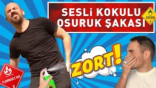 SESLİ VE KOKULU OSURUK ŞAKASI [upl. by Juli780]