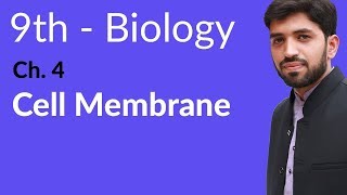 9th Class Biology  Chapter 4  Cell Membrane [upl. by Balfore]