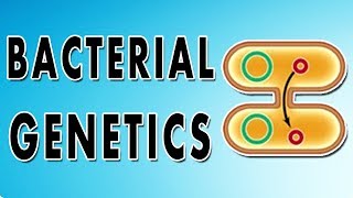 Transformation Conjugation Transposition and Transduction [upl. by Etnuahc493]