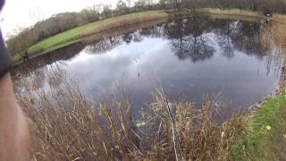 Trout Fishing At Rockbourne Fishery Hampshire [upl. by Hadwin]