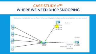 Cisco DHCP Snooping Part 1 in Urdu and Hindi [upl. by Eng]