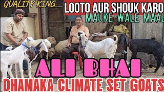 Dhamakedar Quality Offer Mauke Ka Maal Chanas Looto Aur Shouk Karo  Ali Bhai Bhiwandi Mumbai [upl. by Alber]