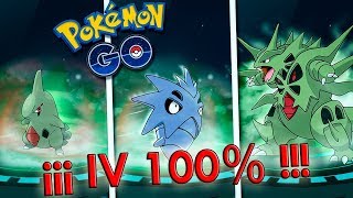 ¡La MEJOR EVOLUCIÓN de TYRANITAR IV 100 con ANTIAÉREO en Pokémon GO Keibron [upl. by Gunas]