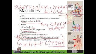 Pharmacology Macrolide Antibiotics [upl. by Dovev]