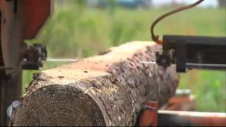 AwardWinning Carpenter Makes MiniHouses on Busy Street [upl. by Jeddy]