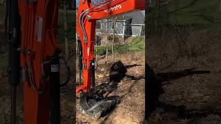 Pulling Big Wood from the Valley with Skidding Winch [upl. by Ormond634]