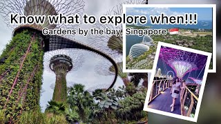 Gardens by the bay Singapore 🇸🇬  Proper plan with best timings to explore the gardens singapore [upl. by Doownel151]