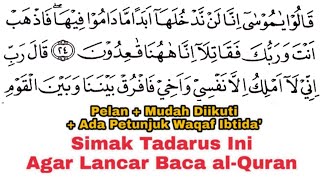 Tadarus Surat alMaidah Ayat 2436 Ada Tanda Warna Panjang amp Dengung Agar Lancar Baca alQuran [upl. by Raseda145]