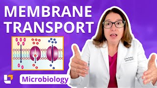 Membrane Transport  Microbiology for Nursing School and Health Fields  LevelUpRN [upl. by Miguel]