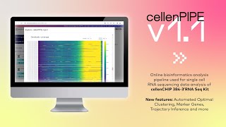 cellenPIPE v11  Workflow [upl. by Yruok]