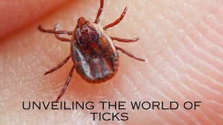 Unveiling the World of Ticks [upl. by Innob285]