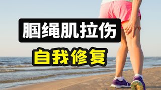 修复腘绳肌拉伤｜大腿后侧肌肉（腘绳肌）拉伤怎么办？5个动作自我康复 [upl. by Abbotson]