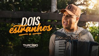 DOIS ESTRANHOS  Tarcísio do Acordeon Clipe Oficial [upl. by Kally]