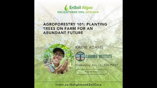 19 Agroforestry 101 Planting Trees on Farm for an Abundant Future with Katie Adams Savanna Inst [upl. by Aicineohp]