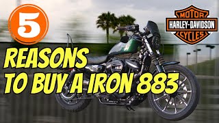 5 Reasons To Buy a Harley Davidson Sportster Iron 883 [upl. by Hanna]