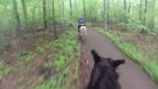 GoPro Horseback Riding with my Mom [upl. by Minnie5]