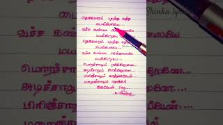 Theruvoram Paranthu Vantha Paingiliye Song Written Lyrics TamilHavoc BrothersAlbum Song [upl. by Ahseikan]