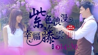 瑞里紫藤花季TVC  大久保麻梨子Mariko 中文版20秒 [upl. by Badr]