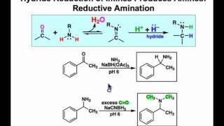 Reductive Amination Mechanism amp Examples [upl. by Gapin]